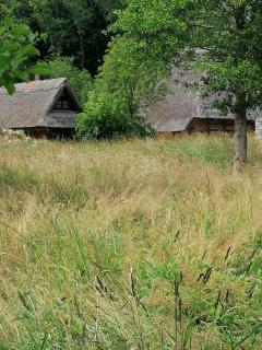 Charmante Wohnung Im Natur-Wald - - 9
