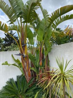 Casa do Jardim - 5