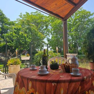 Casa Rural "OLIVER" - Valtierra - 9