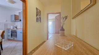 Aurelio - Novigrad - 2