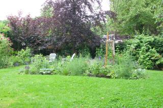Theetuin en B & B 'De Theetuin' - Wijckel - 9