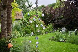 Theetuin en B & B 'De Theetuin' - Wijckel - 7