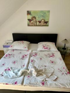 Gasthaus & Pension Bracki gusti - 9