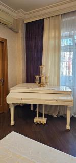 Funda Luxury View Apartments - Bakoe - 7