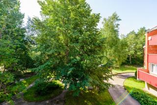 Antarius Šventoji - Palanga - 2