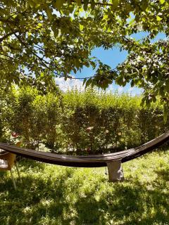 Shaheen Resort Hunza-SRH - Hunza - 8