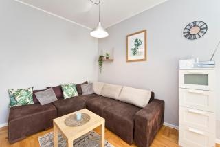 Seagull Spot Abrahama - 1