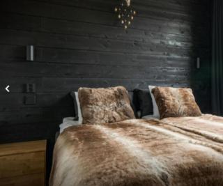 Ski Chalet C9 by Aavalevi Holidays, Ski-in Ski-out - Levi - 6