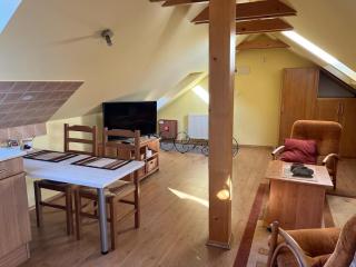 Down Town Apartment with Garden - Piešťany - 7