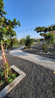 Duplex villa in a mountain farm with a swimming pools & garden,including breakfast فيلا دوبليكس غرفتين و صالة في مزرعة جبلية مع مسابح وحديقة مع إفطار - Hatta - 3