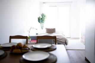 Design Premium Apartments with Balcony & Parking - Vienne - 5