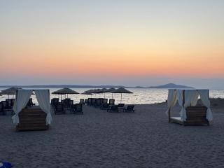 Grape Hotel - Ezine - 7