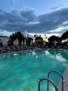 Grape Hotel - Ezine - 6