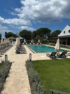 Grape Hotel - Ezine - 3