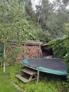 Kleiner Bauernhof in Ostseenähe - ganze Ferienwohnung mit 2 Zimmern - Testorf-Steinfort - 7