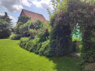 Kleiner Bauernhof in Ostseenähe - ganze Ferienwohnung mit 2 Zimmern - Testorf-Steinfort - 1