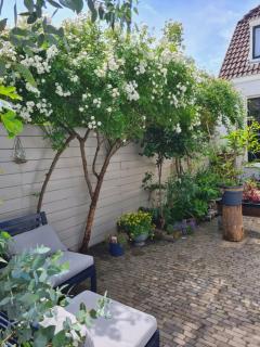 Tiny Garden Room - in city center - Alkmaar - 4