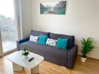 Premium Apartment with Balcony & Free Parking - Vienne - 9