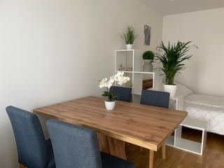 Premium Apartment with Balcony & Free Parking - Vienne - 7