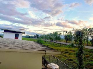Casa Flores - - 5