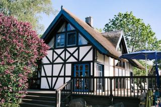 Landhaus 4 Stettinerhaff - Dargen - 9