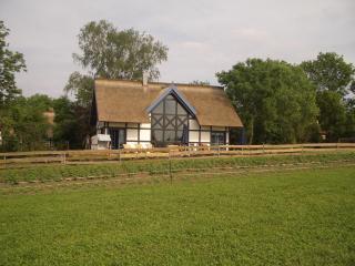 Landhaus 4 Stettinerhaff - Dargen - 7
