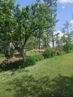 Alpine Luxe Villa - Upper Topa - 5