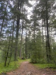 Alpine Luxe Villa - Upper Topa - 4