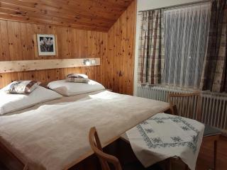 Ferienhaus zur Birke - Bad Mitterndorf - 3