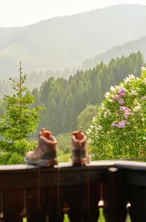 Chalet Mallnock by Globalimmoservice - Bad Kleinkirchheim - 1