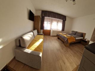 Kodaros Apartmans - Praid - 7