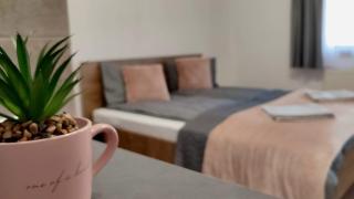 Kodaros Apartmans - Praid - 3