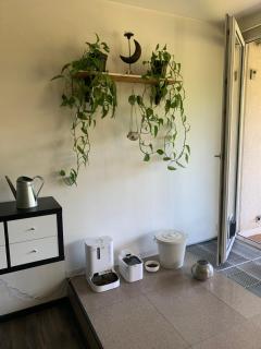 Large 120m apartment with garden and cat near ZOO - Praga - 9