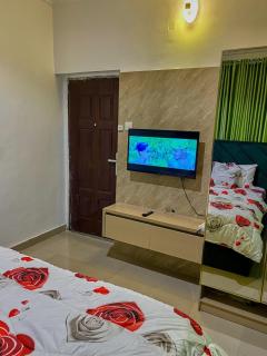 classy 1 BR APT WiFi power supply non stop - Oduwole - 8