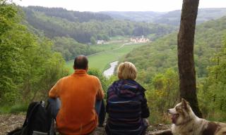 Hotel La Ferronniere - Bouillon - 7