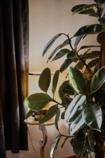 Il Loft nella corte - 6