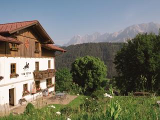 VOM REITER, Ferienwohnung am Bauernhof mit Bergblick und privater Infrarotkabine, Nahe Skipiste - Schladming - 2
