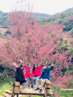 Top view La Pan Tan - Mù Cang Chải - 1