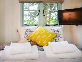 Helens Shepherds Hut - Enford - 3