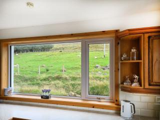 Sunny Hill - Ukc6884 - Aultgrishin - 3