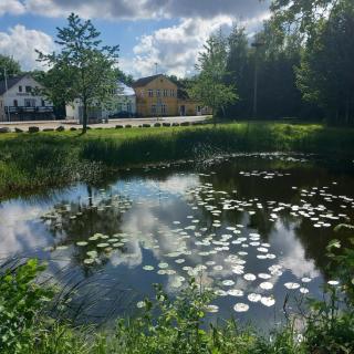 Villa Sommersted Blauzahn - - 0
