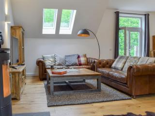 Anemone - Kenmore - 6