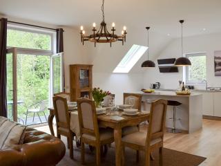 Anemone - Kenmore - 5
