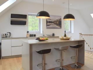 Anemone - Kenmore - 1
