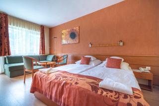 Hotel Panoráma - Balatongyörök - 9