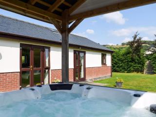 River Cottage - Llangunllo - 1