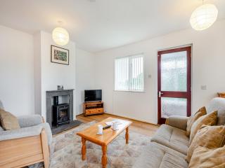 Cambrian Mountain View - Llanafan-fawr - 7