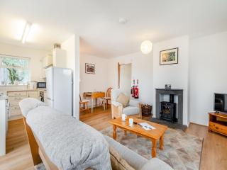 Cambrian Mountain View - Llanafan-fawr - 8