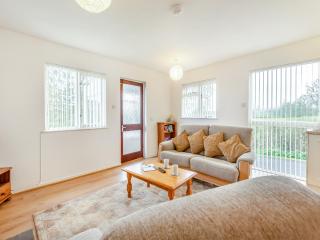 Cambrian Mountain View - Llanafan-fawr - 5