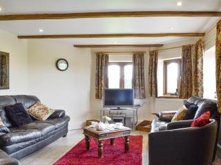 White Hill Farm Cottage - Dingestow - 9